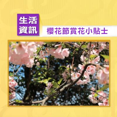 生活嚮導[Episode 27]華府賞櫻全攻略