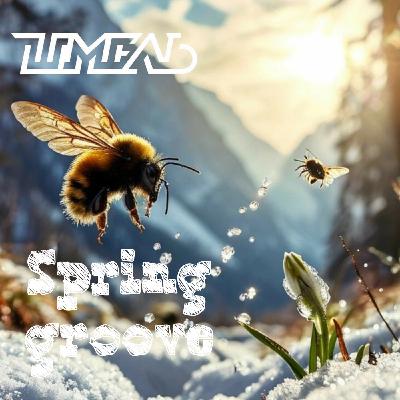 DJ Шмель-Spring Groove
