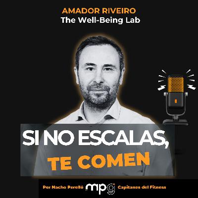 #71 El riesgo de quedarte pequeño en un mercado que crece | The Well-Being Lab #71 El riesgo de quedarte pequeño en un mercado que crece | The Well-Being Lab