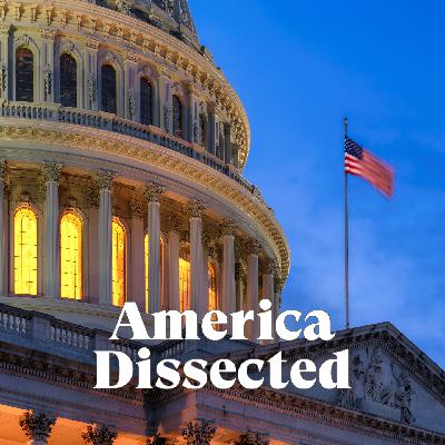 Democrats Confront RFK Jr.
