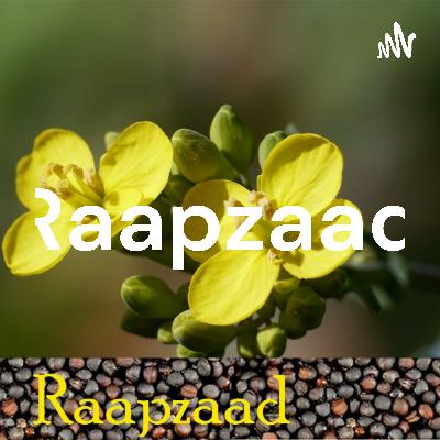Raapzaad 15 Hanneke Kuppens, De Oude Streek, Zevenhuizen