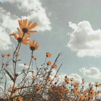 Dreams