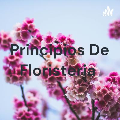 Principios básicos de floristeria