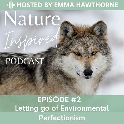 Letting go of environmental perfectionism