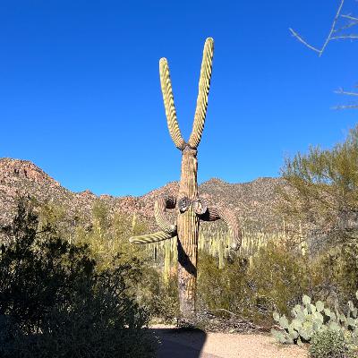 EP9 独处：在我自己的世界里，安静的玩出花儿