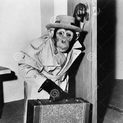 El Simio Regresa El Simio Regresa