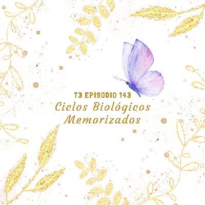 T3 143. Ciclos Biológicos Memorizados