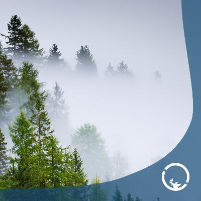 #90 Wartości ponad korzyści