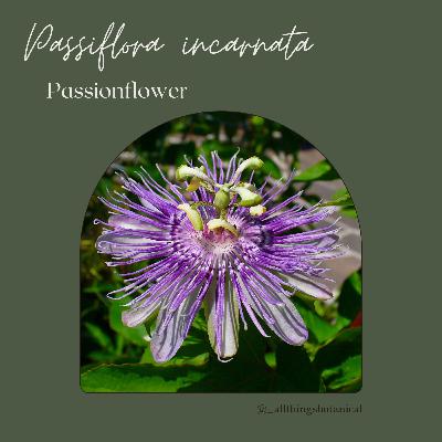 Plant Profiles: Passionflower Plant Profiles: Passionflower