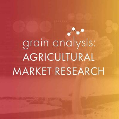 Ep 8 Grain Analysis: Agricultural Market Research