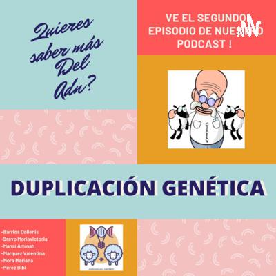 Duplicación genética
