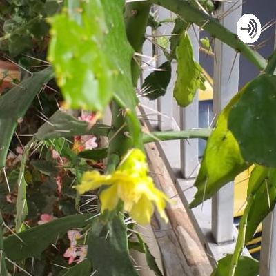 Bienvenidos a la lluvia