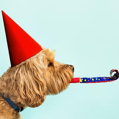 #53 Das größte Geschenk für deinen Hund #53 Das größte Geschenk für deinen Hund