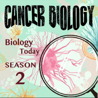 The One With Professor Karl Haushalter