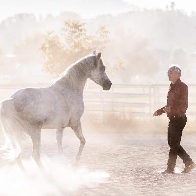 Leittier oder Alphatier - ist Dominanz nötig? Leittier oder Alphatier - ist Dominanz nötig?