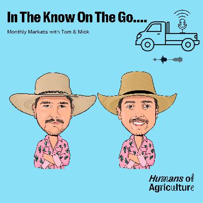 The Monthly Markets with Tom & Mick