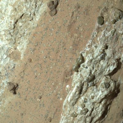 NASA dice descubrió Vida en Marte NASA dice descubrió Vida en Marte