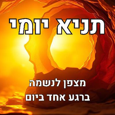 עומק ברכות קריאת שמע וסוד "יתרון האור"