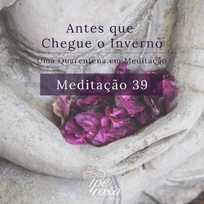 Meditação 39 - Medite!