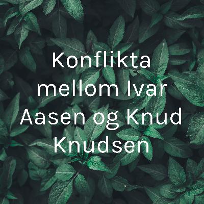 Konflikta mellom Ivar Aasen og Knud Knudsen