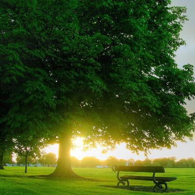 Dj Kirill sk - Beautiful melody