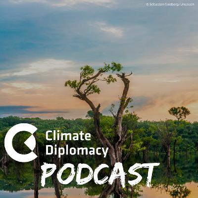 Episode 52: 100 days until COP30: Brazil on climate, environment and human security