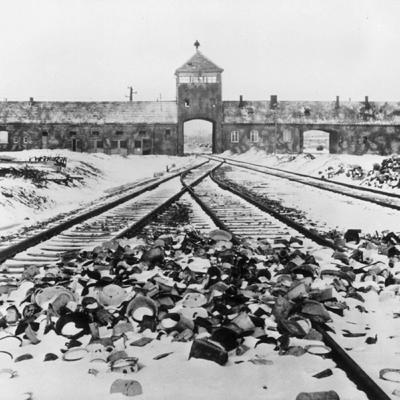 Visita a Auschwitz