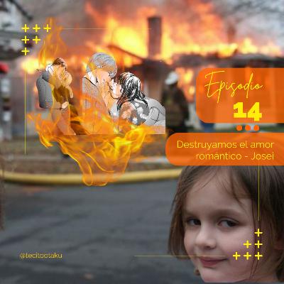 14. Destruyamos el amor romántico - Los Josei