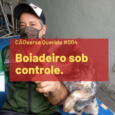 CÃOversa Querida #004 – Walter – Boiadeiro sob controle. CÃOversa Querida #004 – Walter – Boiadeiro sob controle.