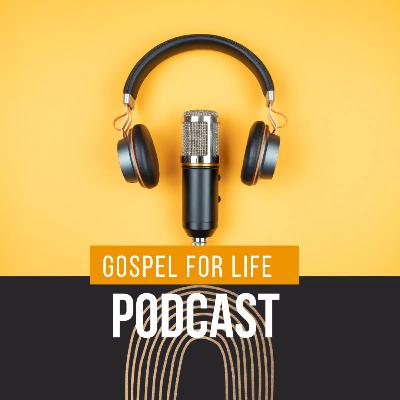 Gospel-Beauty in the Desert!