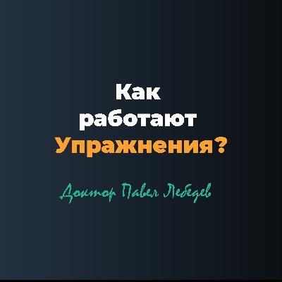 Как работают упражнения? Физиология движения без мифов