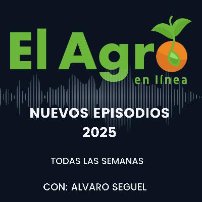 ¡Así cambian los drones la agricultura en 2025! ¡Así cambian los drones la agricultura en 2025!