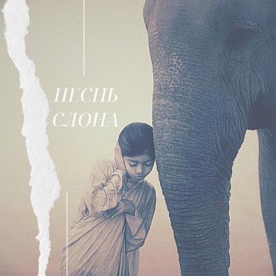 Песнь Слона Песнь Слона