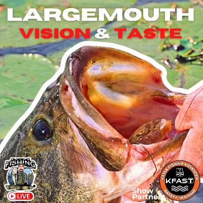 What Bass REALLY See & Taste: The Science That Changes Fishing