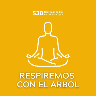 Respiremos con el árbol - Meditaciones