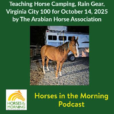 Teaching Horse Camping, Rain Gear, Virginia City 100 for October 14, 2025 by The Arabian Horse Association - HORSES IN THE MORNING
