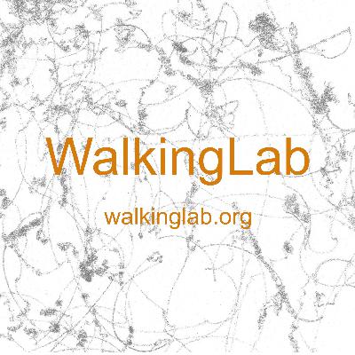Podcast Episode 1: Introduction to Critical Walking Methodologies