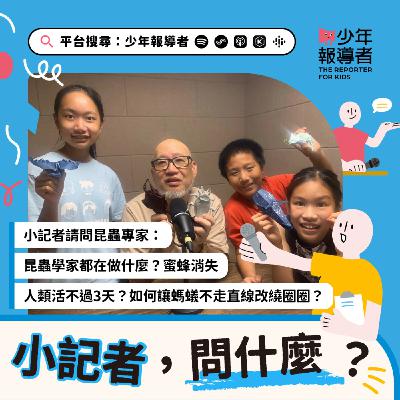小記者請問昆蟲專家｜昆蟲學家都在做什麼？蜜蜂消失人類活不過3天？如何讓螞蟻不走直線改繞圈圈？