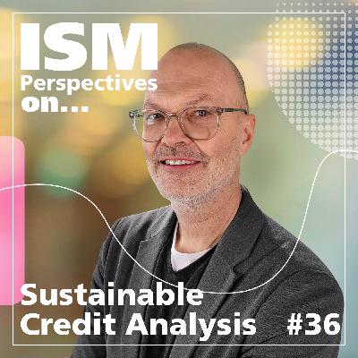 Perspectives on: Sustainable Credit Analysis