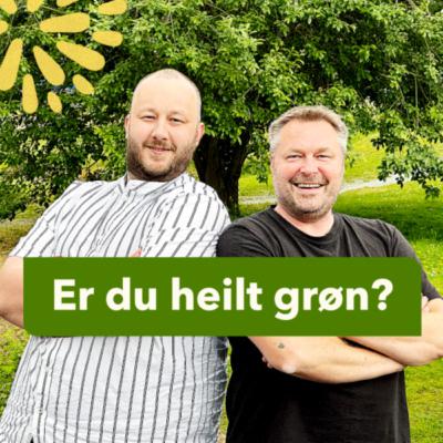 Livsfjerne svermarar eller grøne realistar?