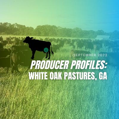 AGA Producer Profiles: White Oak Pastures