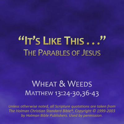 Wheat & Weeds (Matthew 13:24-30,36-43)