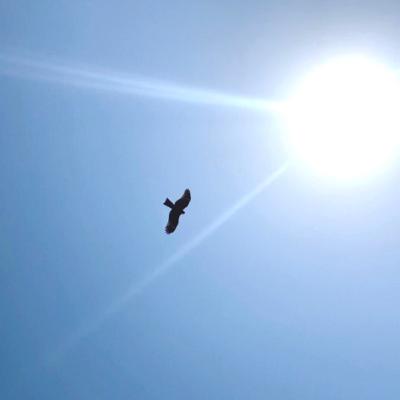 さよなら、名もなきノイズたち さよなら、名もなきノイズたち