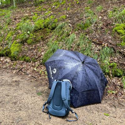 Von meiner Wanderung auf den Johannisberg heute Früh