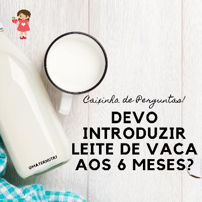 Preciso introduzir leite de vaca e seus derivados aos 6 meses de idade?
