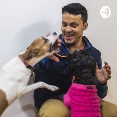 Todos contra o enforcador! Mas que porra é essa??? Todos contra o enforcador! Mas que porra é essa???