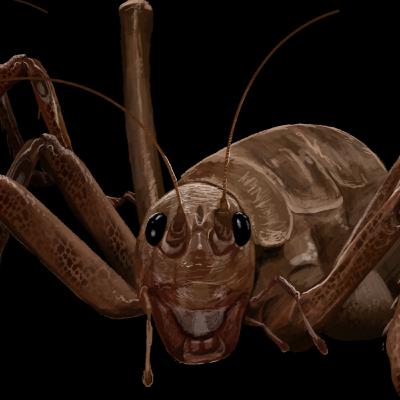 Why Islands Turn Animals Into Giants