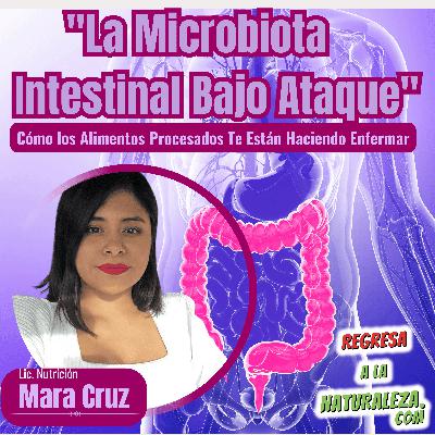 #28 > La Microbiota Intestinal Bajo Ataque: Cómo los Alimentos Procesados Te Están Haciendo Enfermar Con Mara Cruz