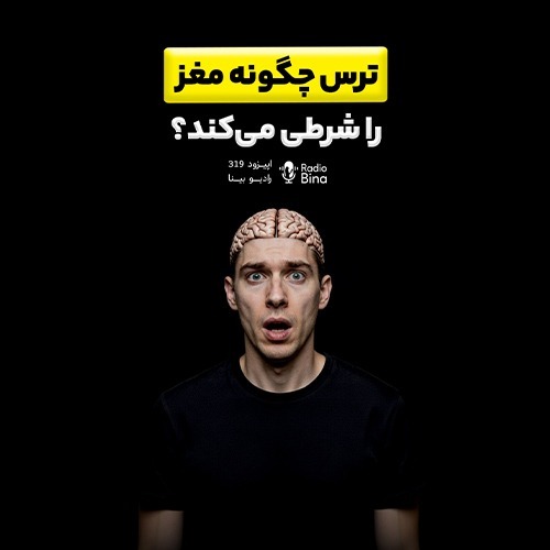 ترس چگونه مغز را شرطی میکند؟ ترس چگونه مغز را شرطی میکند؟