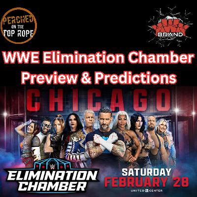 E308: WWE Elimination Chamber Preview & Predictions!